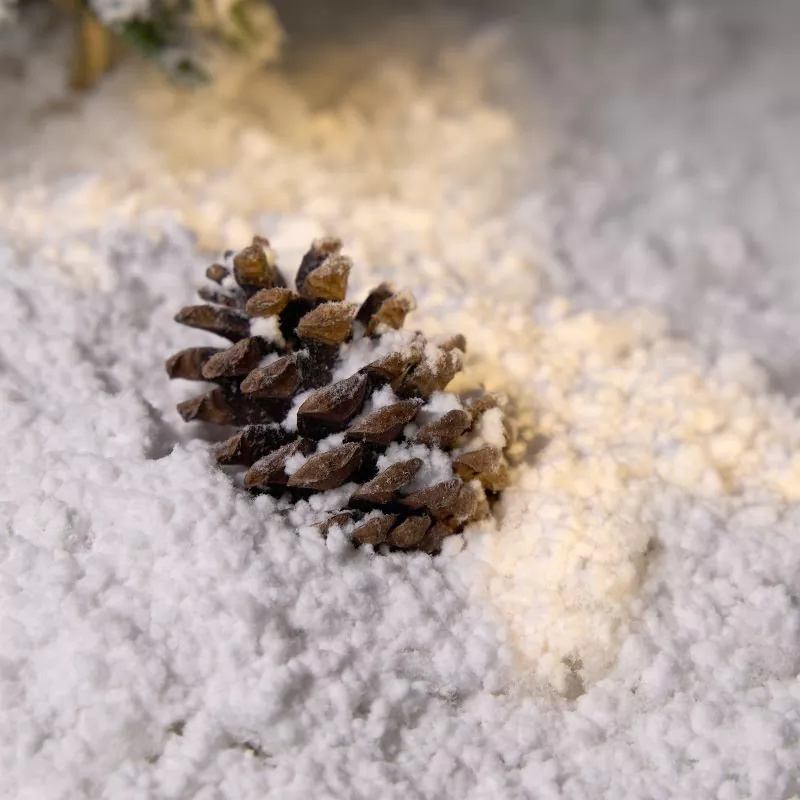 স্নো বেস বায়োডিগ্রেডেবল